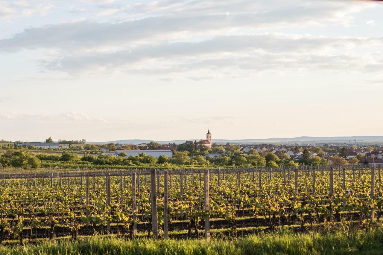 Rodinne Vinarstvi Skoupil Velke Bilovice Exterior foto